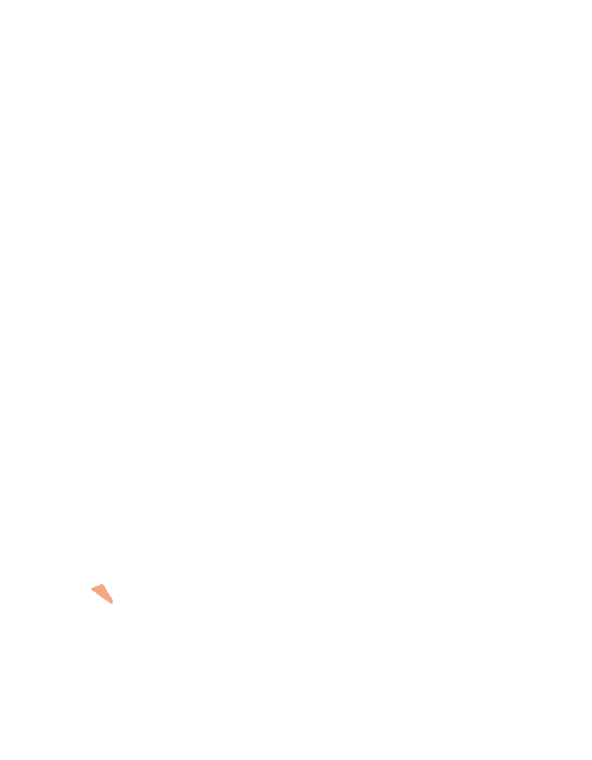 My Little Swan